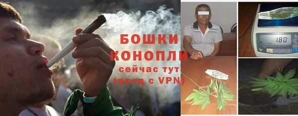 СК Новозыбков