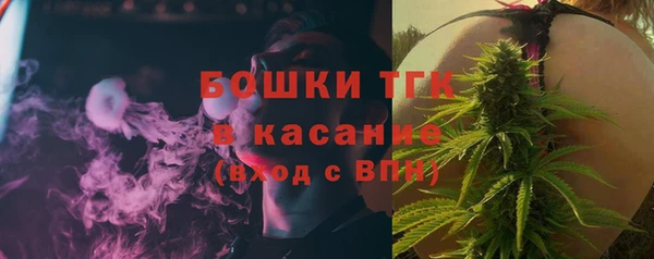 СК Новозыбков
