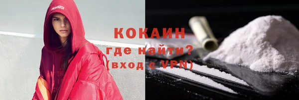 СК Новозыбков