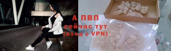спиды Новокубанск