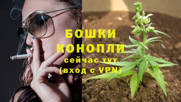 мдпв Новодвинск