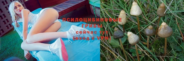 СК Новозыбков