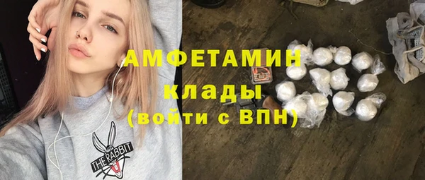 прущие крисы Няндома