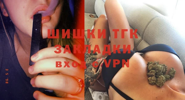 СК Новозыбков