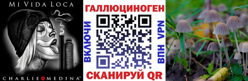 Галлюциногенные грибы мухоморы kraken маркетплейс Кашира
