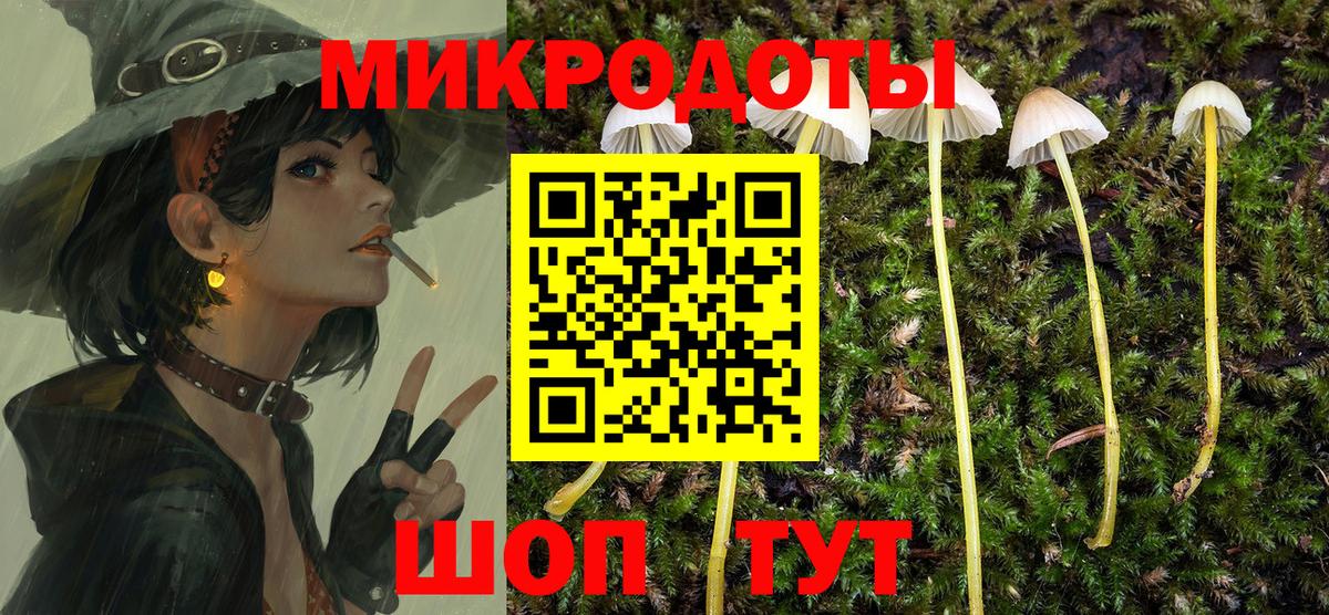Кашира  Псилоцибиновые грибы Psilocybe  Вход с VPN  Галлюциногенные грибы Psilocybe 